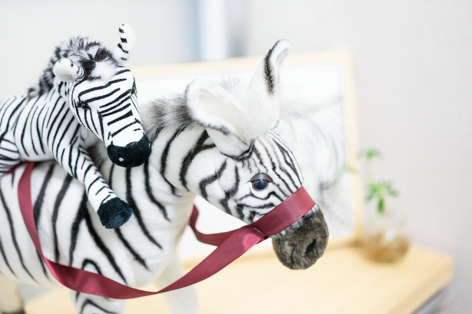 テストショップ